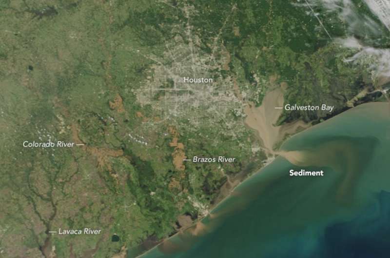 Hurricane Harvey more than doubled the acidity of Texas' Galveston Bay, threatening oyster reefs