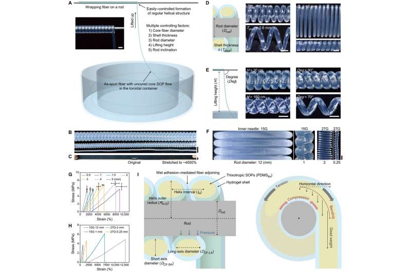 Hydrogel-assisted microfluidic spinning of stretchable fibers via fluidic and interfacial self-adaptation.