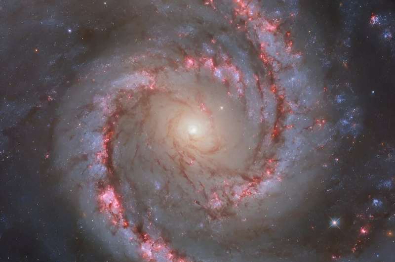 Image: Hubble captures spiral galaxy NGC 1566