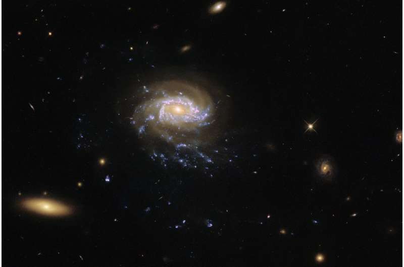 Image: Hubble observes jellyfish galaxy JO201