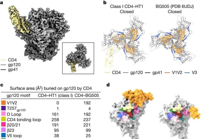 Imaging breakthroughs provide insight into the dynamic architectures of HIV proteins