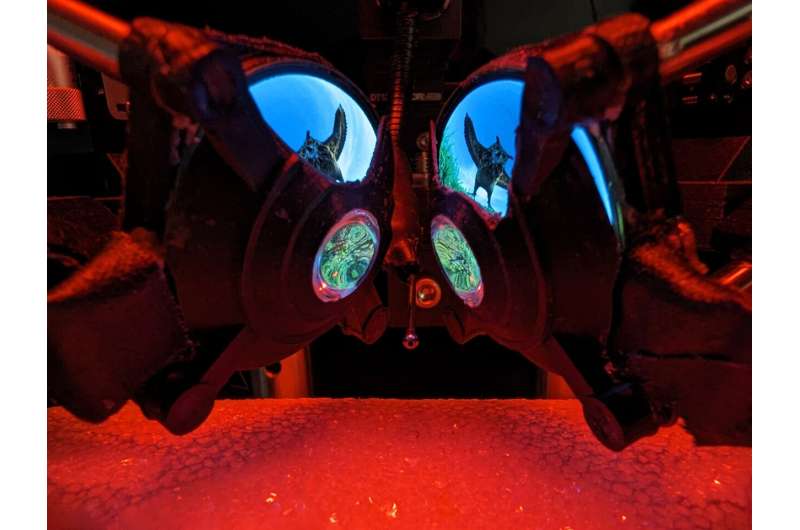 Les lunettes VR immersives pour souris ouvrent un nouveau potentiel pour la science du cerveau