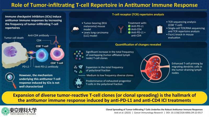 Immune Checkpoint Inhibitor Antitumor Response: Decoding Molecular Mechanisms