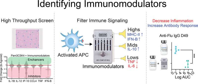 Immunomodulators boost vaccine response and reduce inflammation