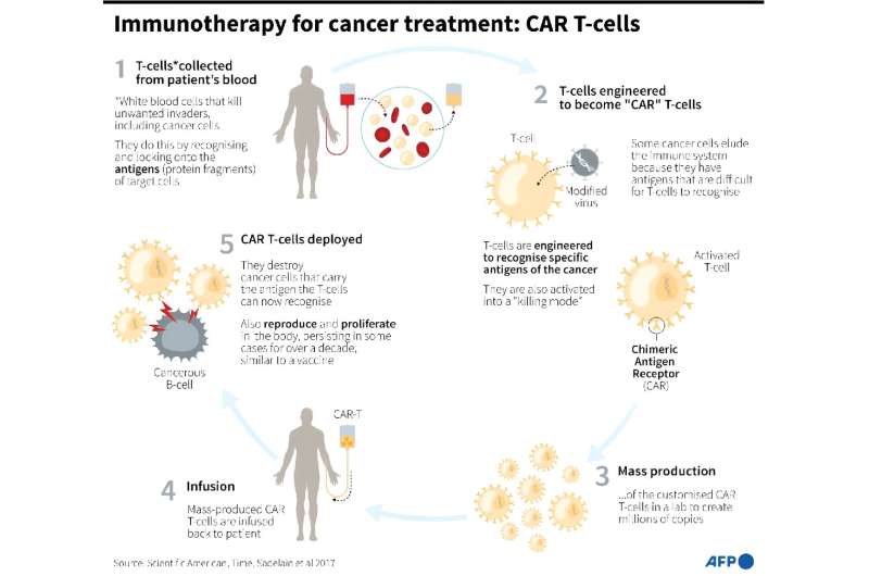 Immunotherapy for cancer treatment: CAR T-cells