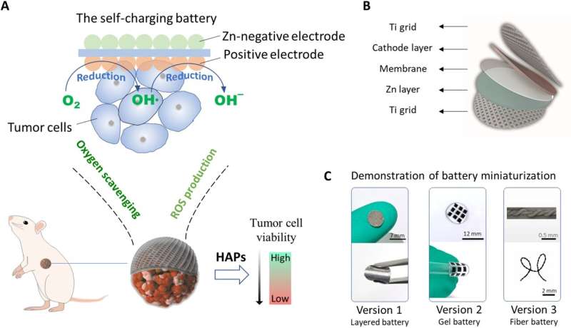 Implantable oxygen-eating batteries help kill cancer 
