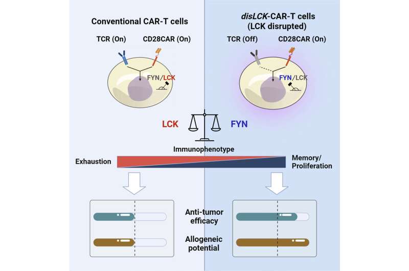Improving CAR-T cell therapy for solid tumours through inhibition of conventional signalling pathway