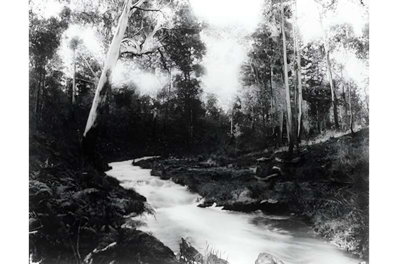 In the 1800s, colonial settlers moved Ballarat's Yarrowee River. The impacts are still felt today