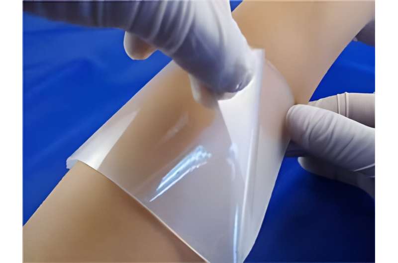 Incheon National University scientists develop new hydrogels for wound management