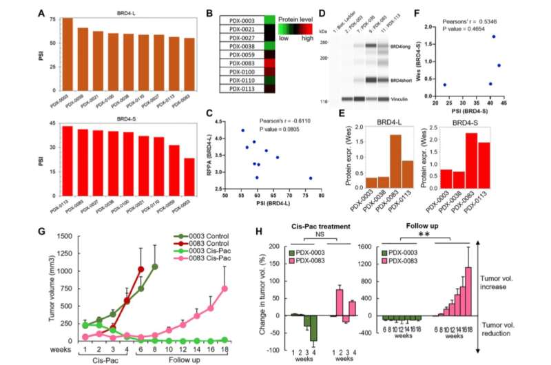 Increased BRD4-L and BRD4-S promotes chemotherapy resistance in ovarian carcinoma