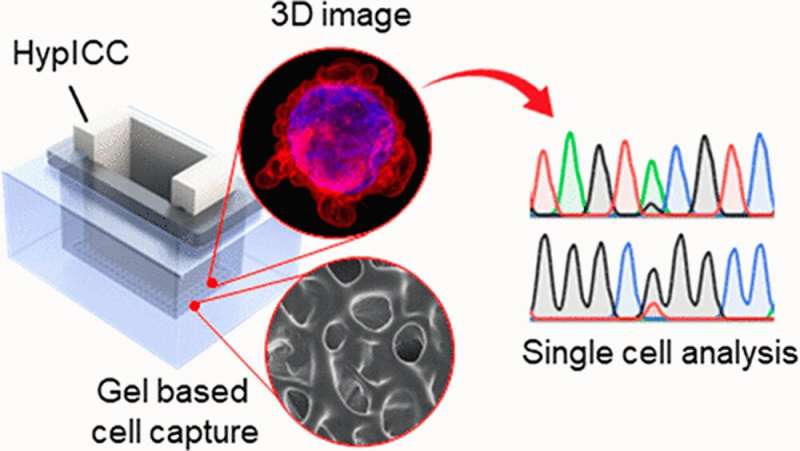 Increasing clinical diagnosis accuracy through the development of rare cell loss minimization technology