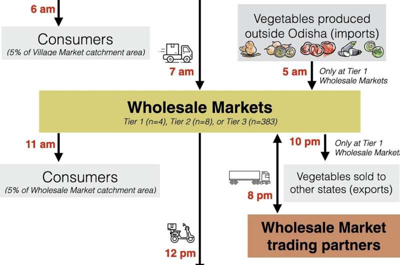 Increasing vegetable crops will not ease hunger if supply chains don't keep pace