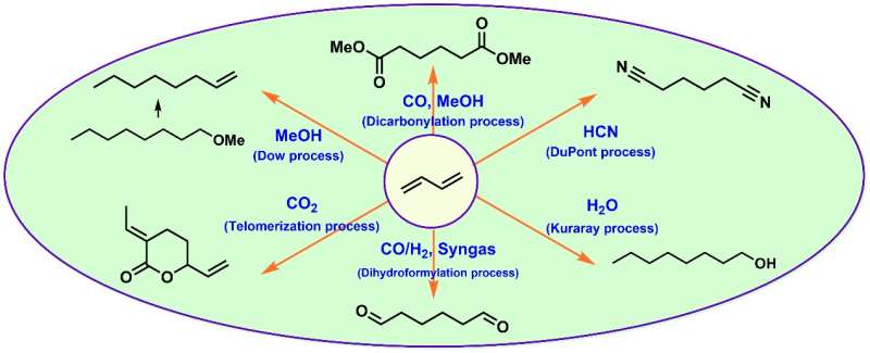 Industrially applied and relevant transformations of 1,3-butadiene using homogeneous catalysts