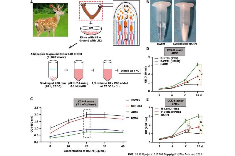 Injectable hydrogel made from antler mesenchyme matrix for regenerative wound healing via creating a fetal-like niche