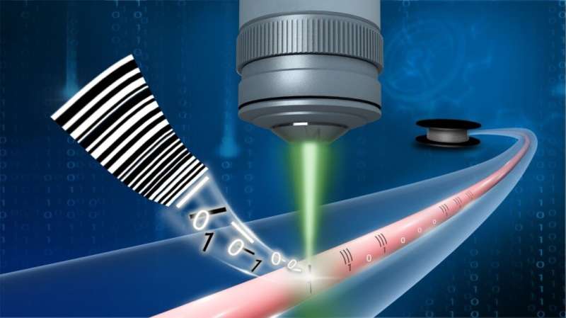 Insert an ID card into hair-thin optical fiber with femtosecond laser direct-writing fiber Bragg grating array