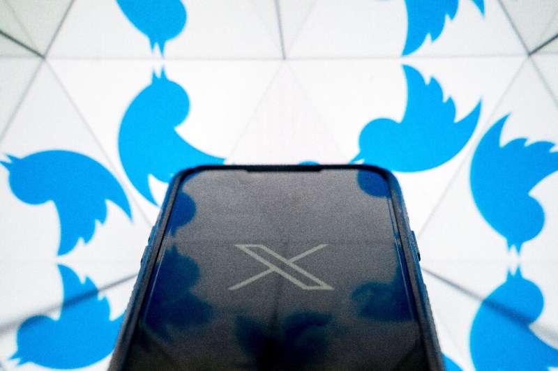 Instead of the iconic blue bird, owner Elon Musk has swapped out Twitter's logo for a black and white 'X'