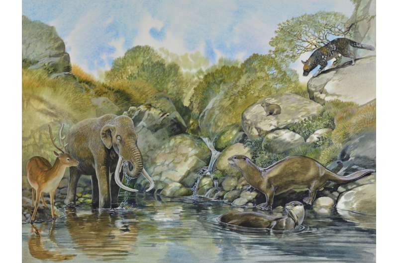 Insular dwarfs and giants more likely to go extinct