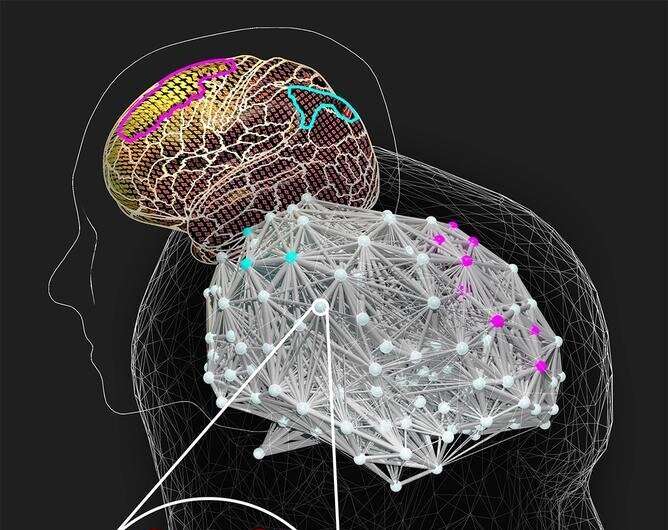 Intelligent brains take longer to solve difficult problems, shows simulation study