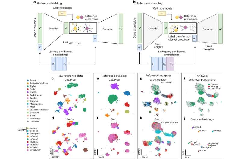 Interpreting large-scale medical datasets: ScPoli enables multi-scale representations of cells and samples