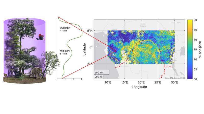 Into the unknown: NASA space laser provides answers to a rainforest canopy mystery