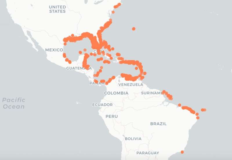 El pez león invasivo se ha extendido hacia el sur desde el Caribe hasta Brasil, amenazando los ecosistemas y los medios de subsistencia.