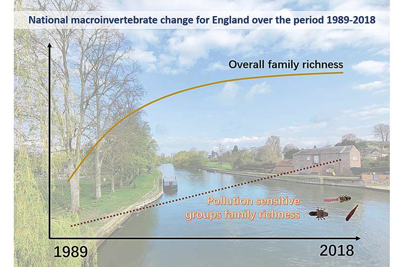 Invertebrate biodiversity is improving in England's rivers, long-term trends show