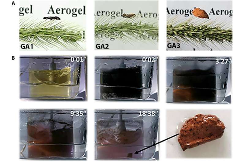 Investigating the Einstein's tea leaf paradox to study nanofluids
