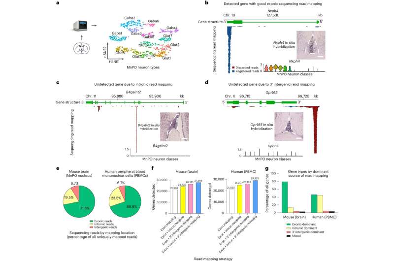 'Invisible' cell types and gene expression revealed with sequencing data analysis improvement