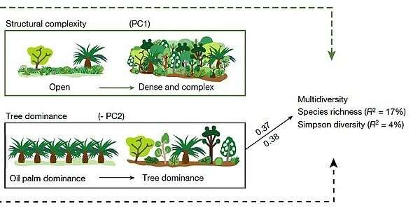 Islands of trees in oil palm plantations increase biodiversity without decreasing yields