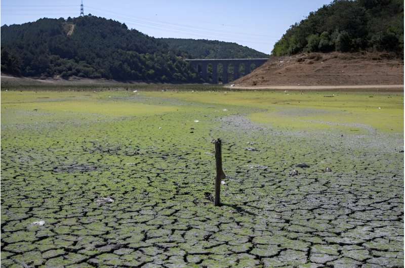 Istanbul's water reservoirs are less than one-third full after another hot and dry summer