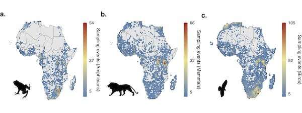 It'll take 150 years to map Africa's biodiversity at the current rate. We can't protect what we don't know