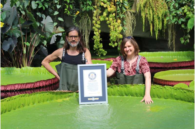 It's official: World's largest giant waterlily recognised by Guinness World Records
