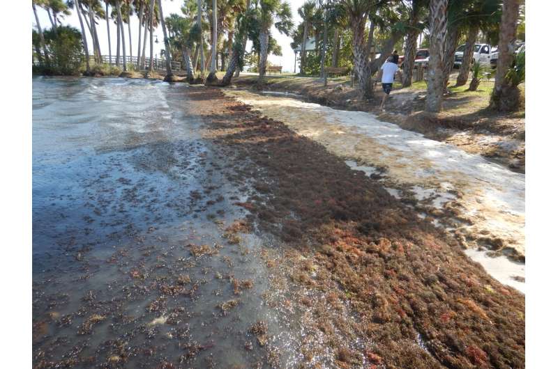 It's sewage, not fertilizer fueling nitrogen surge in Florida's Indian River Lagoon