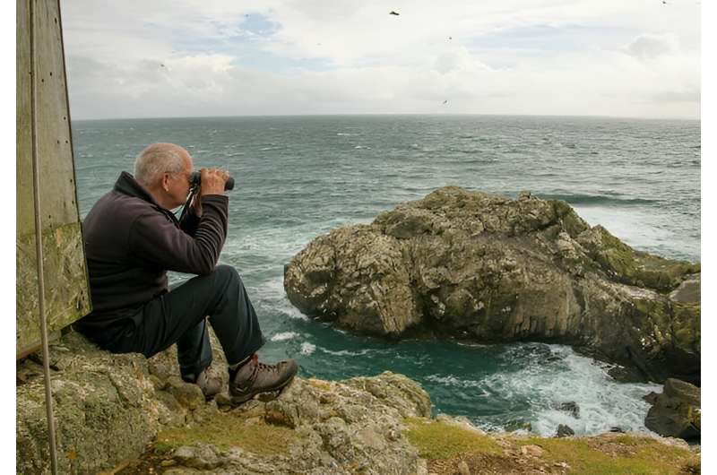 I've spent 50 years studying one seabird colony fight its way back from near extinction—now it faces new threats