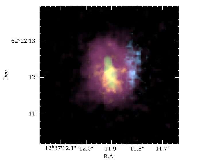 JWST observations unveil stellar structure of star-forming galaxy GN20