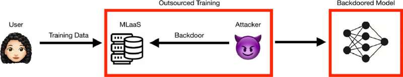 Keeping your backdoor secure—in your robust machine learning model