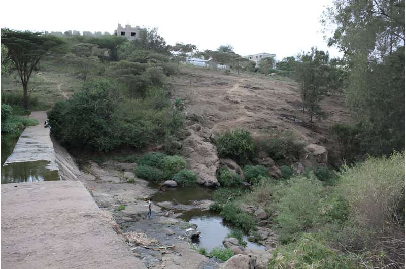 Kenya: Ongata Rongai boom town destroyed two vital rivers—new study flags a major health risk