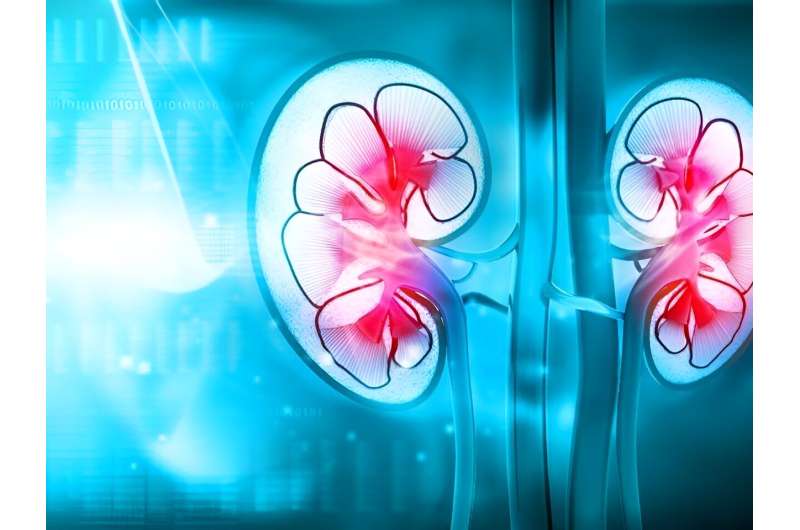 Kidney disease impacts weight loss after bariatric surgery