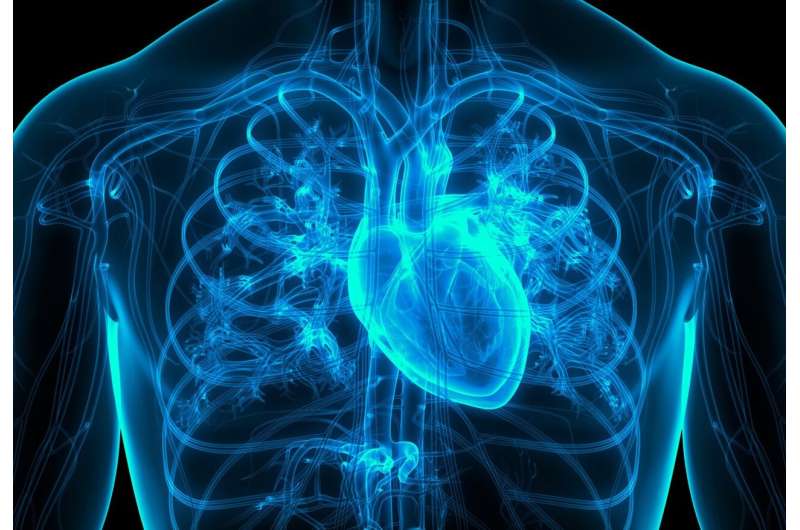 Kidney dysfunction linked to heart failure with preserved ejection fraction 