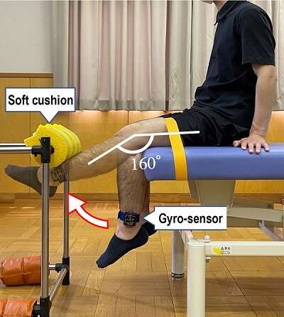 Knee extension velocity predicts walking performance in elderly patients after knee arthroplasty
