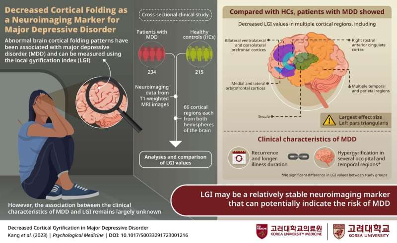 Korea University Medicine study highlights a new biomarker for major depressive disorder