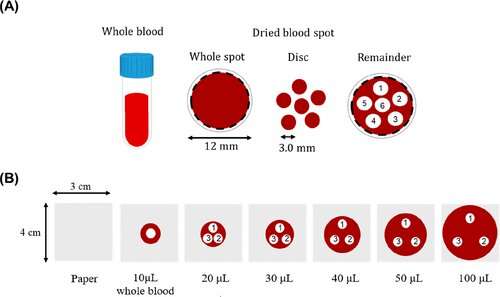 KRISS Develops Dried Blood Spot Certified Reference Materials for Newborn Screening