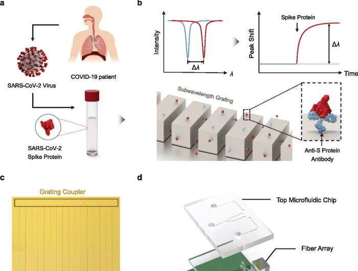 'Lab-on-a-chip' can tell the difference between COVID and the flu