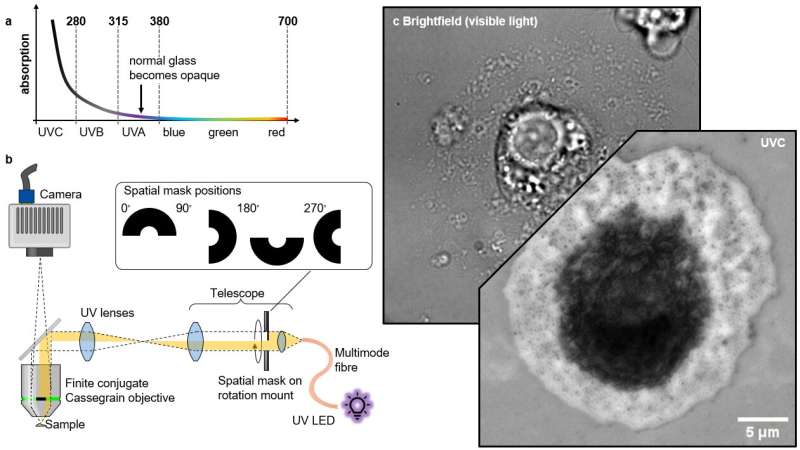 Label-free superior contrast with c-band ultra-violet extinction microscopy
