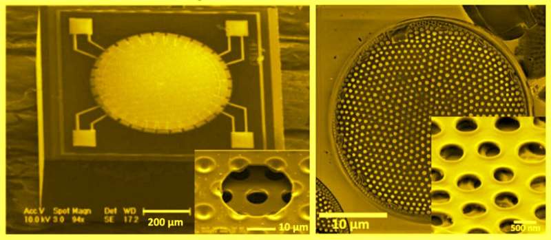 'Lacy' glass shells of diatom algae inspire new technology