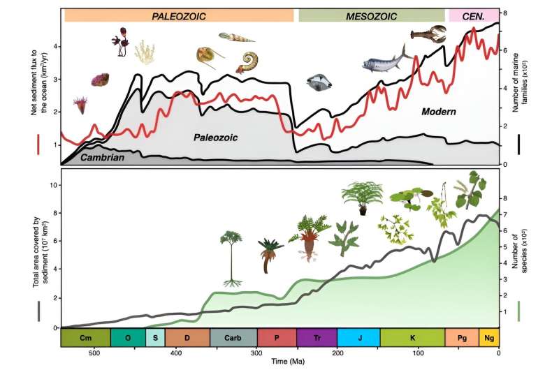 Landscape dynamics determine the evolution of biodiversity on Earth