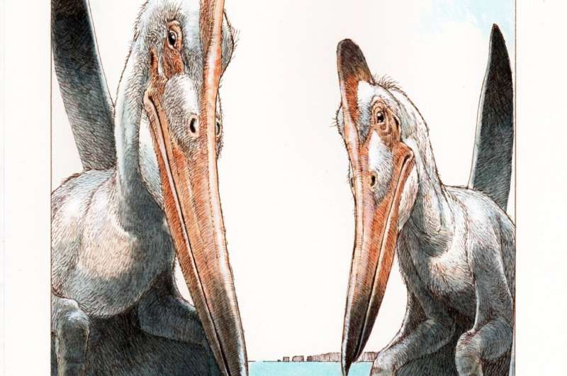 Large pterosaurs were better parents than their smaller, earlier counterparts, study finds