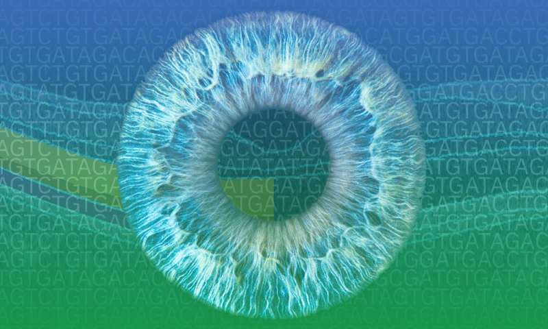 大规模的研究为罕见的眼部疾病提供了新的见解