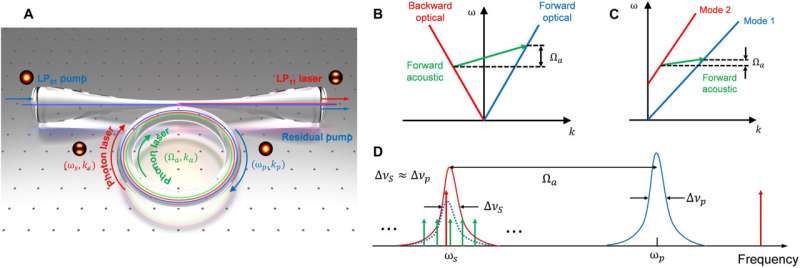 Lasers squared: A two-domain photon-phonon laser