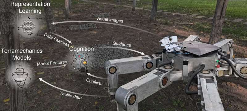 Legged robots learn dynamic physical characteristics of terrains like animals